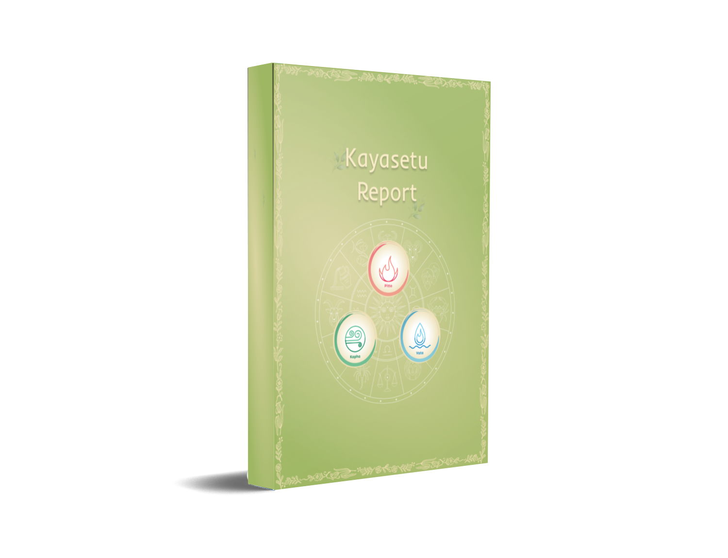Kayasetu Report